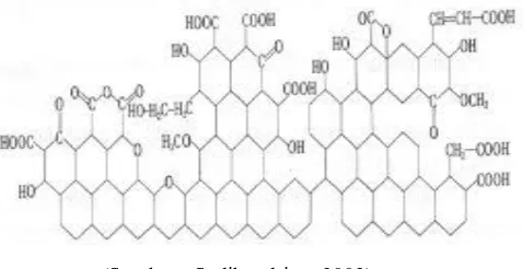 Gambar 5. Struktur kimia karbon aktif 