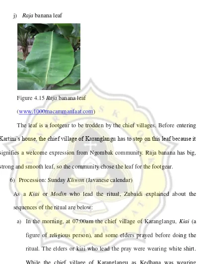 Figure 4.15 Raja banana leaf 