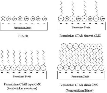 Gambar 1. Skema Konfigurasi CTAB pada permukaan zeolit 