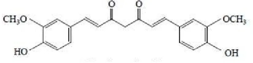Gambar 3. Struktur Kimia Kurkumin 