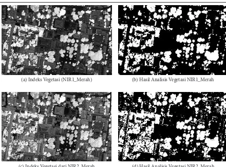 Gambar 6. Hasil Transformasi (a) dan (b) Hasil Analisis Vegetasi dan Non Vegetasi dengan Menentukan Nilai Treshold, hitam adalah non vegetasi dan warna putih adalah vegetasi