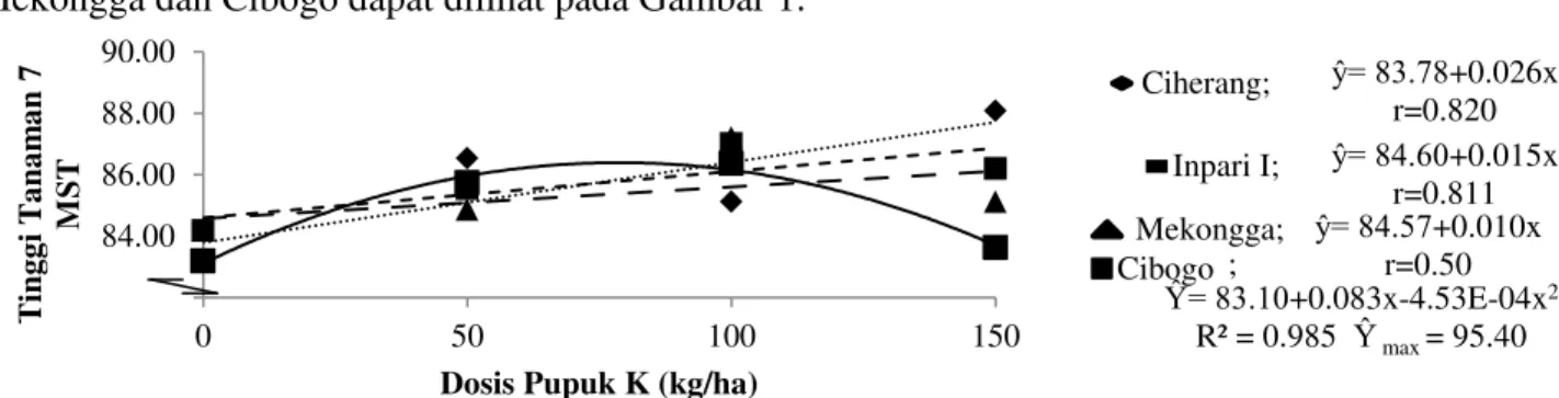 Gambar 1. Grafik hubungan antara dosis pupuk K dengan tinggi tanaman (cm) 