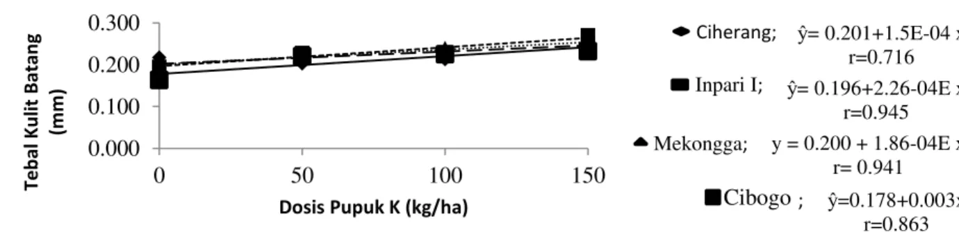 Gambar 4. Grafik hubungan antara dosis pupuk K terhadap tebal kulit batang (mm)  