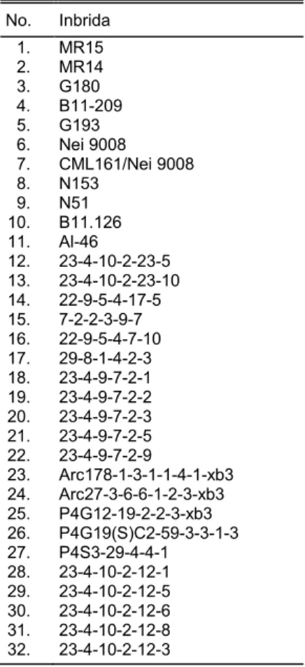 Tabel 1.  Daftar  32  jagung  inbrida  yang 