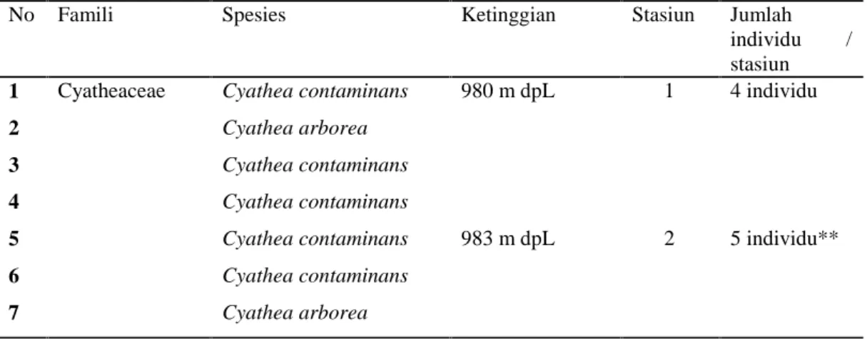 Tabel . 1 Jenis-jenis pteridophyta langka pada Cyathea Pada Ketinggian yang Berbeda di Kawasan Wisata Air Terjun Jumog Ngargoyoso Karanganyar Jawa Tengah.