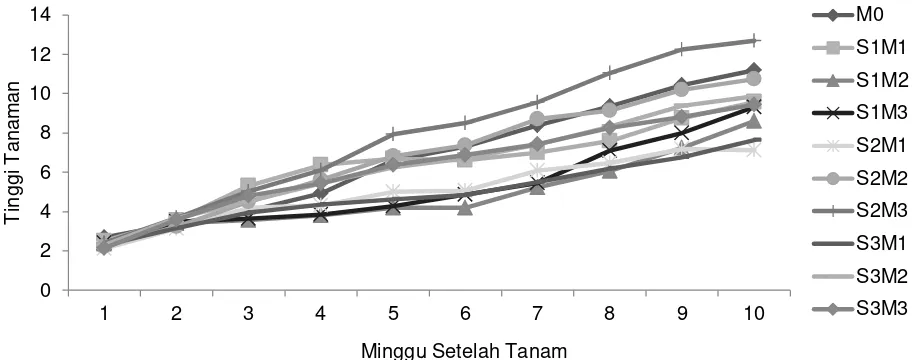 Gambar 1. Grafik pola pertumbuhan tinggi tanaman pakchoi pada beberapa minggu setelah tanam 