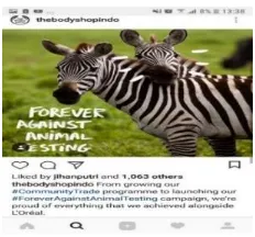 Informasi kegiatan kampanye yang di InstagramGambar 1.3  