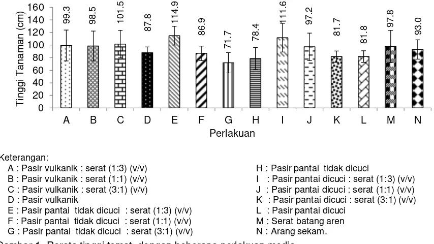 Gambar 1. Rerata tinggi tomat  dengan beberapa perlakuan media      