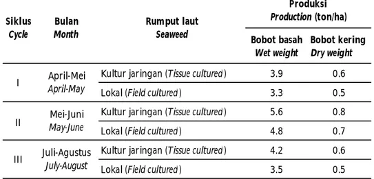 Tabel 2. Perbandingan produksi rumput laut hasil kultur jaringan dan rumput laut lokal selama tiga siklus pemeliharaan dengan padat tebar 1 ton/ha Table 2