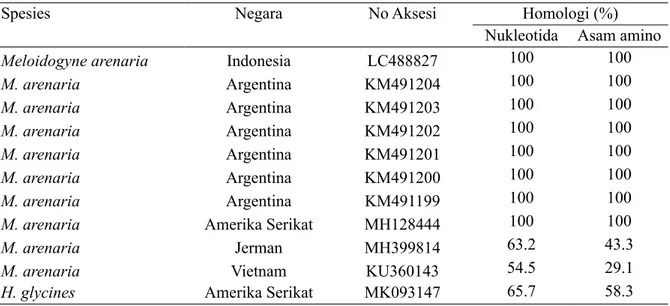 Tabel 2 Tingkat homologi runutan nukleotida dan asam amino M. arenaria asal Cipanas dengan spesies  dari negara lain yang ada di GenBank