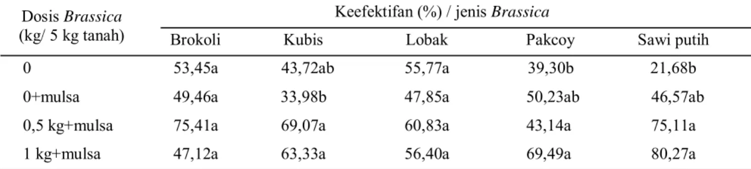 Tabel 1. Keefektifan 5 jenis limbah Brassica sebagai biofumigan terhadap nematoda puru akar (Meloidogyne sp.) pada tanaman tomat pada skala mikroplot di lapangan
