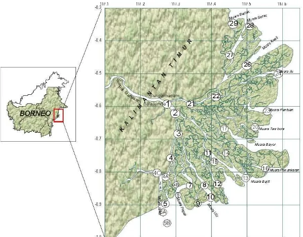 Fig. 1. sampling stations in Mahakam Delta  