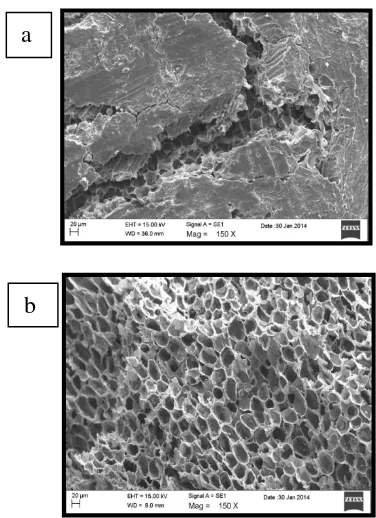 Figure 3. Surface structure of: a. Jatropha seed shell  and b. carbonized jatropha seed shell