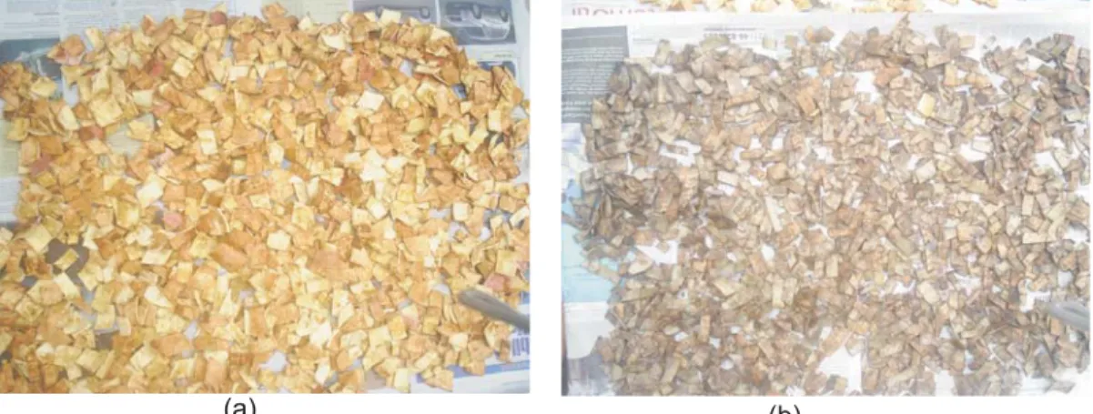 Gambar 1. Kulit bagian dalam singkong : (a) Kering dan (b) Kukus