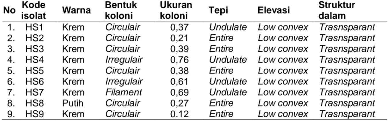 Tabel  1.  Jumlah  Isolat  Bakteri  Simbion  yang  Diisolasi  dari  Holothuria  scabra  Berdasarkan  Perbedaan Morfologi Koloni 