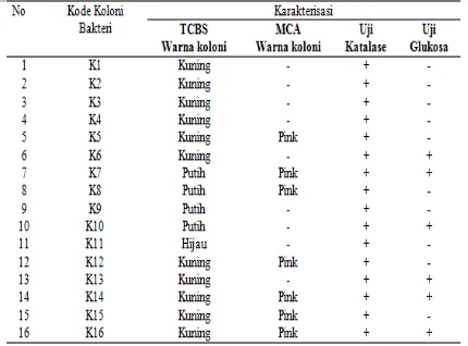 Tabel 3 Hasil Aktivitas Biokimia Isolat Bakteri yang Berasosiasi dengan K. alvarezii bergejala 