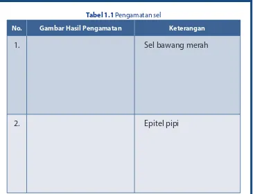 Tabel 1.1 Pengamatan sel