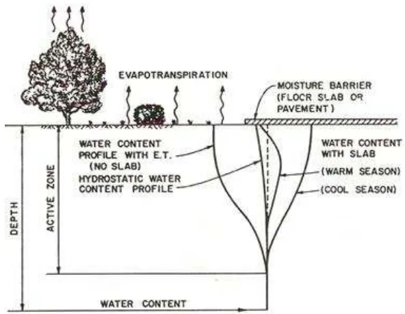 Gambar 2.2 menunjukkan bahwa penguapan dari permukaan, kadar air dalam lahan kering akan lebih rendah dari pada profil kadar air hidrostatik