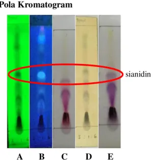Gambar 1. Pola Kromatogram Rosella 