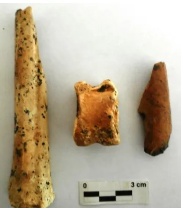 Gambar 7.  Tiga sampel fragmen  tulang yang telah mengalami proses fosilisasi.  Dok: Alifah,2014