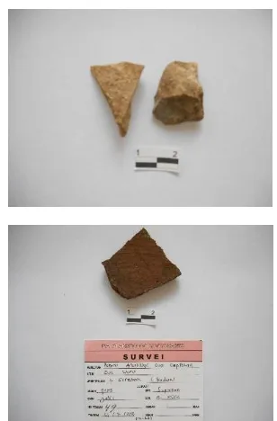 Gambar 9. Tatal batu (atas) dan gerabah (bawah) dari Gua Wuru. Dok: Alifah 