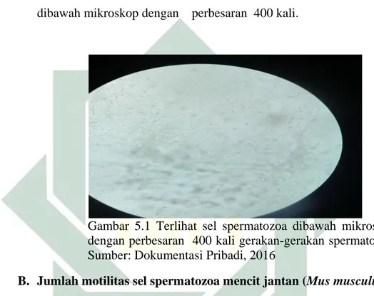 Gambar  5.1  Terlihat  sel  spermatozoa  dibawah  mikroskop  dengan perbesaran  400 kali gerakan-gerakan spermatozoa