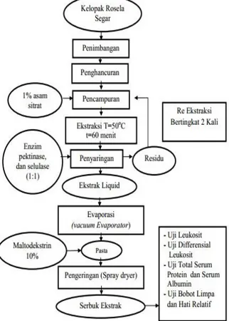 Gambar 1. Diagram Alir Pembuatan Serbuk  Ekstrak Rosela (Modifikasi Mardiah et al., 