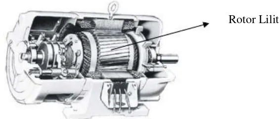 Gambar 2.2 Motor Induksi Rotor Sangkar4 