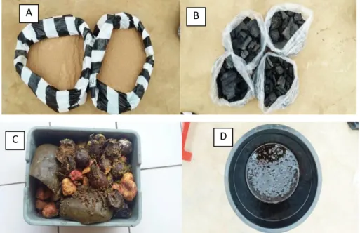Gambar  1.    Bahan-bahan  pembuatan  bioslury  plus  :  (A)  Batuan  fosfat.  (B).  Arang  kayu,  (C) Buah-buah busuk, (D)