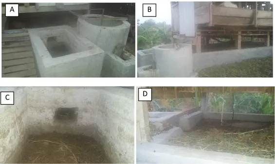 Gambar  3.  Kandang  kambing  yang  terintegrasi  dengan  instalasi  biogas,  (A,  B)