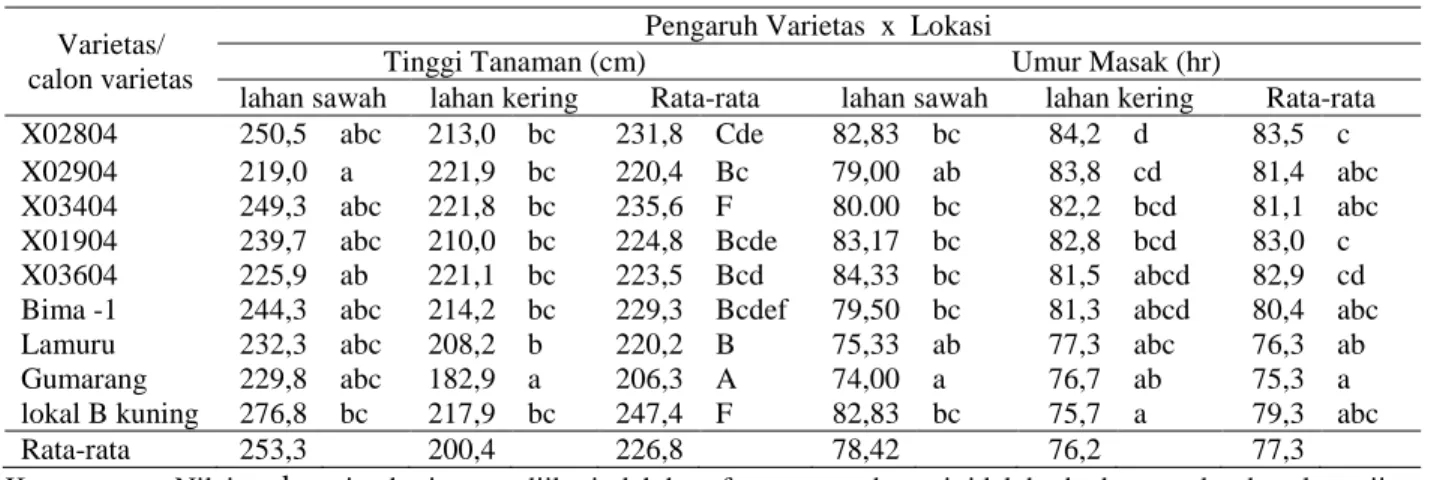 Tabel 4.    Tinggi  tanaman dan umur masak sembilan varietas dan calon varietas jagung pada dua tingkat pemupukan  N di lahan sawah dan lahan kering Kecamatan Bissapu, Kabupaten Bantaeng Mk II 2009  