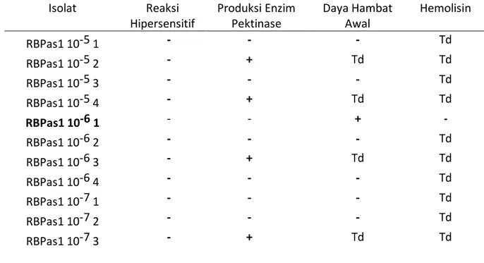 Tabel 2.  Seleksi Rizobakteri Antagonis dari sekitar perakaran tanaman jagung sehat di  Pasaman Barat Isolat  Reaksi  Hipersensitif  Produksi Enzim Pektinase  Daya Hambat Awal  Hemolisin  RBPas1 10-5 1  -  -  -  Td  RBPas1 10-5 2  -  +  Td  Td  RBPas1 10-5