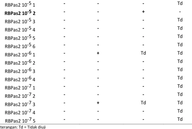 Tabel 3. Daya hambat isolat rizobakteri terhadap jamur Fusarium verticillioides  Isolat                         Rata-rata daya hambat isolat (%) 