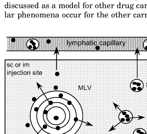 Figure 5Schematic representation of drug release and absorp-tion of injectable dispersed systems from the site of injection afters.c