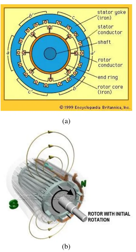 Gambar 2.13 Daerah Timbulnya Medan Magnet Antara Penghantar Stator (Stator 