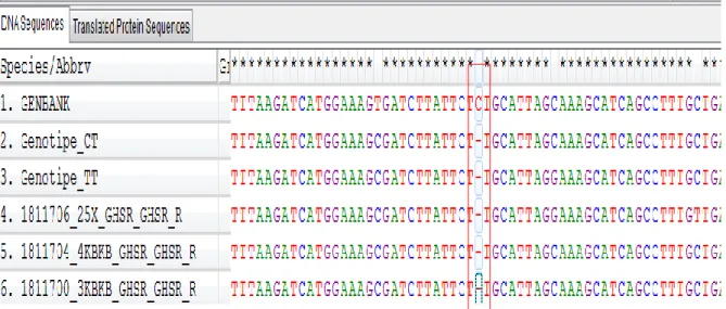 Gambar 3. Delesi basa C pada posisi 134 bp pada ayam kampung berdasarkan referensi dengan nomor akses gen bank  AB095994.1