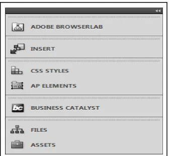 Gambar 2.9. Panel Groups pada Adobe Dreamweaver CS5 