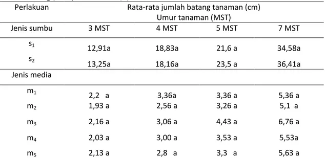 Tabel  2.Pengaruh  Pemberian  Perlakuan  Jenis  Sumbu  dan  Media  Tanam  Terhadap  Rata-Rata  Batang (helai) Pada Umur 3,4,5 dan 7 MST