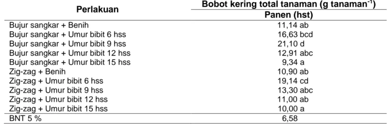 Tabel  3.  Rata-Rata  Bobot  Kering  Total  Tanaman  (g  tanaman -1 )  Akibat  Pengaruh  Kombinasi  Perlakuan Tata Letak Penanaman dan Umur Bibit pada umur tanaman 44, 38, 35, 32  dan 29 Hari (panen)