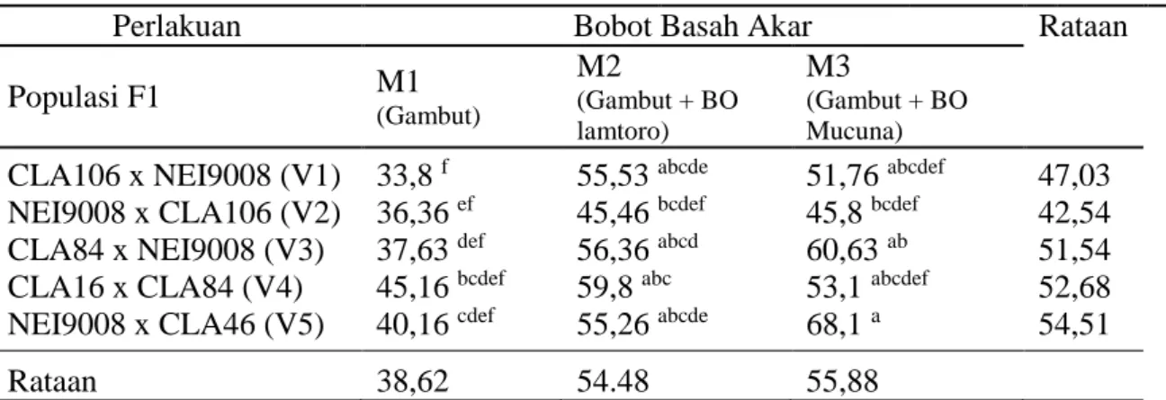Tabel 3. Interaksi antara populasi F 1  dan media tanam pada karakter bobot basah akar 