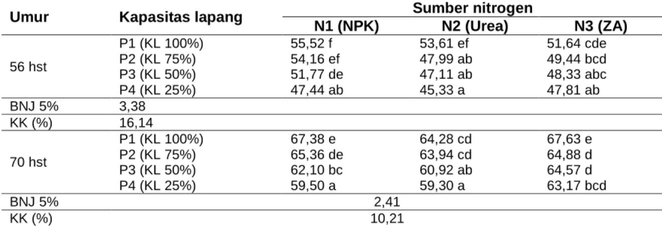 Tabel 7. Rerata panjang tanaman (cm) akibat perlakuan sumber nitrogen dan kapasitas lapang  pada umur 56 dan 70 hst