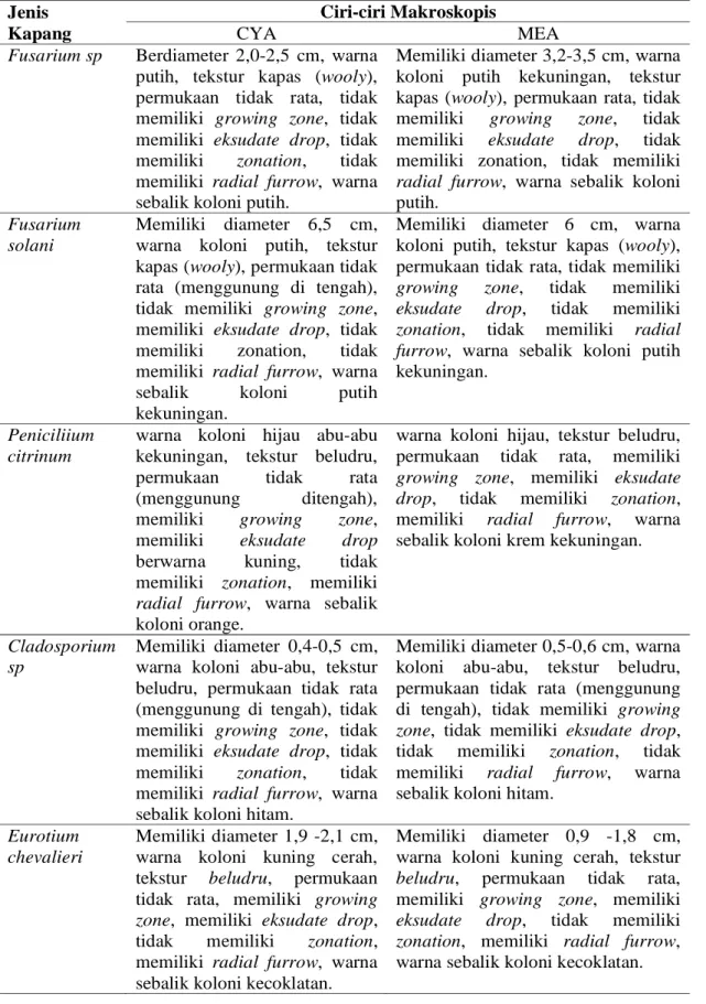 Tabel 1. Karakteristik Makroskopis Koloni Kapang Table 1. Macroskopic Characteristic of Mold Colony