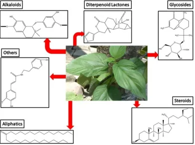 Gambar. Kandungan Kimia Tinospora cordifolia 