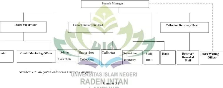 Gambar 3.1 Struktur Organisasi PT. Al-Ijarah Indonesia Finance Lampung 