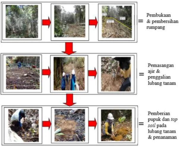 Gambar 3. Tahapan kerja penanaman rumpang  Figure 3. Working elements of gap planting