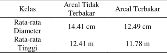 Tabel 6  Rata-rata  kelas  diameter  dan  tinggi  A.  mangium  pada  areal  tidak  terbakar  dan  areal  terbakar 