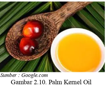 Gambar 2.11. Palm Oil Stearine 