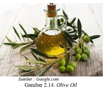 Gambar 2.14. Olive Oil 