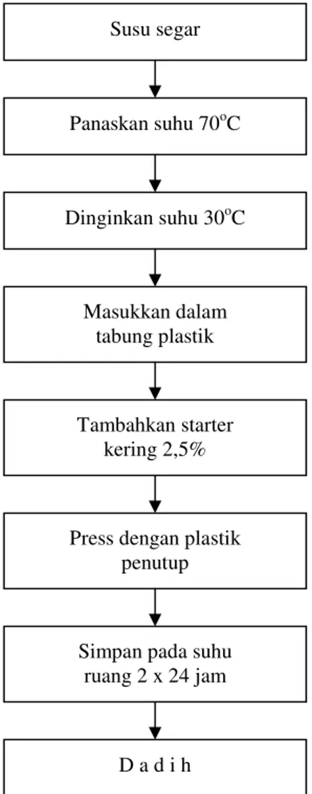 Gambar 2. Proses Pembuatan Dadih Susu Kerbau  Dalam Tabung Plastik (Mupa, 1998)  Setelah  terbentuk  dadih  dalam  waktu  2x24 jam, baik di dalam tabung bambu  maupun  di  dalam  tabung  plastik,  dilakukan  pengujian  organoleptik  pada  10  orang  paneli
