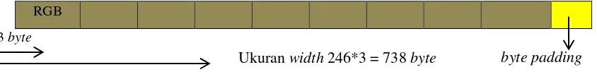 Gambar 7. Peta byte citra bitmap untuk width modulo 4 ≠ 0 